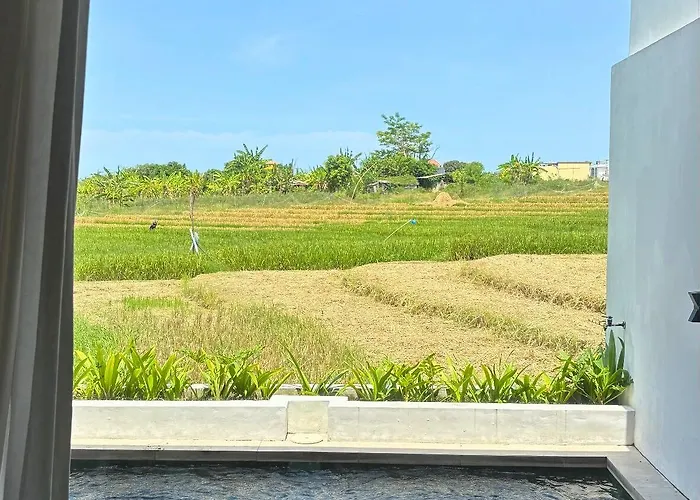 The Menuai Bali Чангу